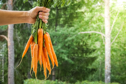 Hand holding a bundle of ca...