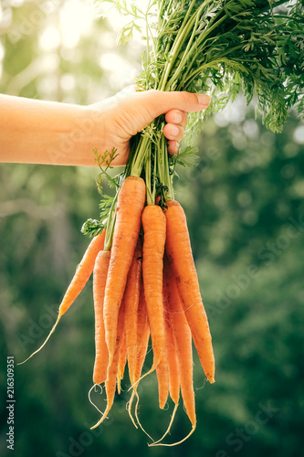 Hand holding a bundle of ca...