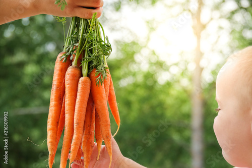 Hand holding a bundle of ca...