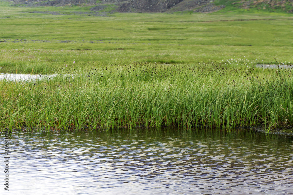 Raised bog with an open water lake in the mountain tundra