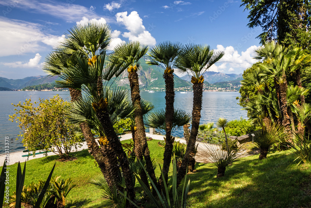 Fototapeta premium Varenna, Lombardy, Italy. Como lake, Villa Monastero garden.