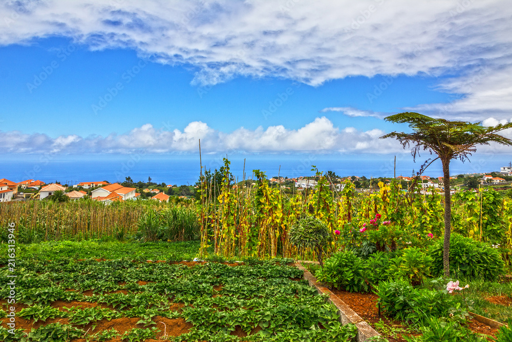 Madeira island village, Portugal, Santana ocean view