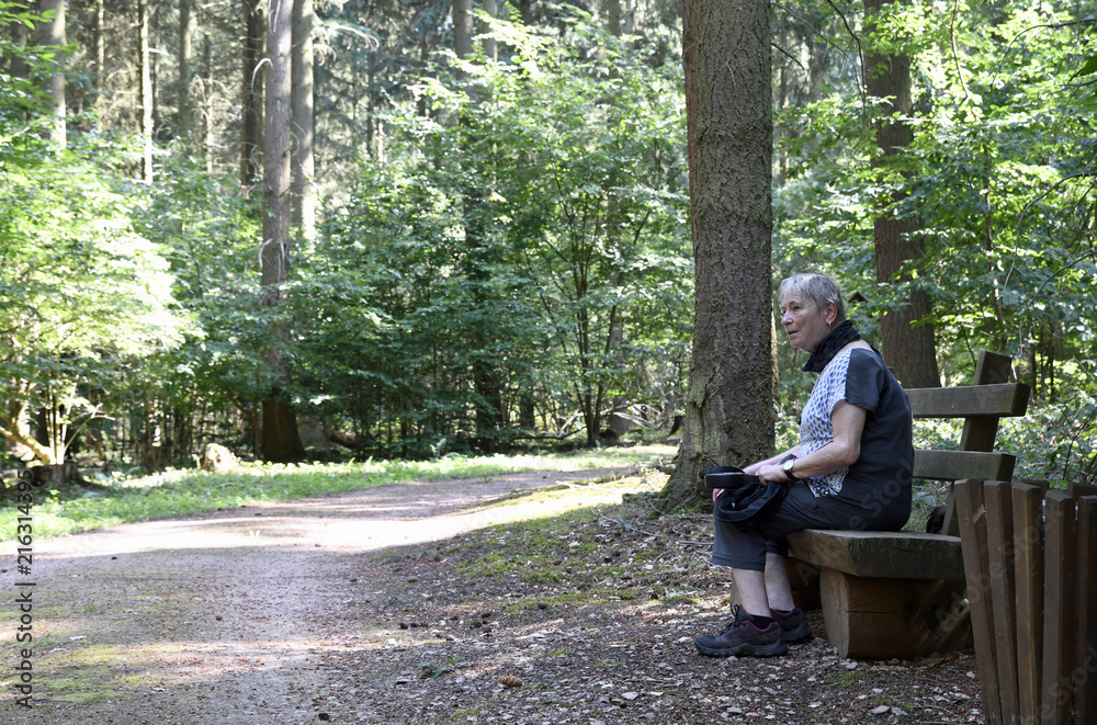Fototapeta premium eine seniorin sitzt auf einer bank im ruhewald rheinhessische schweiz