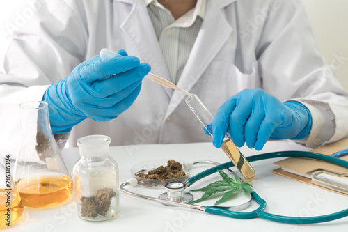Marijuana research in the lab