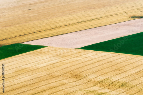 Agriculture field from above