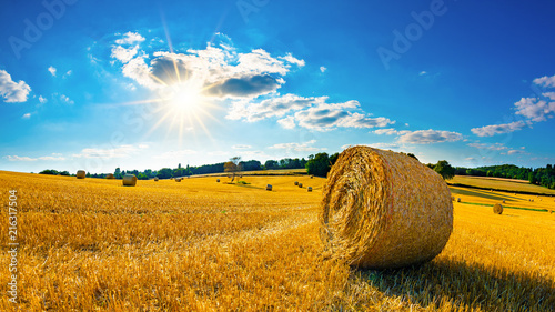 Fototapeta Naklejka Na Ścianę i Meble -  Landscape in summer with hay bales on a field and blue sky with bright sun in the background