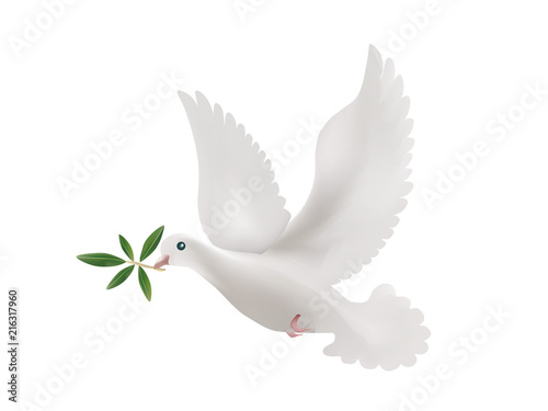 3d illustration with isolated dove and olive leaves. Symbol of peace