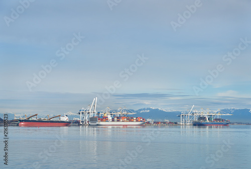 Delta Port Freighters, British Columbia. The industrial waterfront of Delta, British Columbia. British Columbia, Canada.

