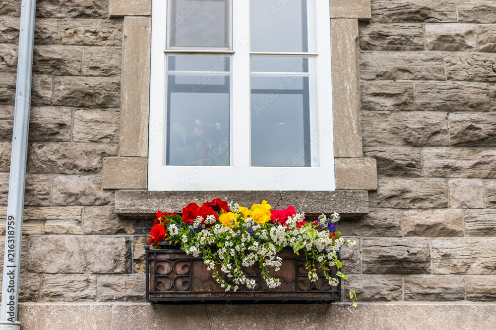 Flowers basket closeup on window sill outside stone brick European building decoration