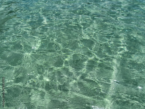 Wallpaper Mural sea bottom. Calm underwater scene with copy space Torontodigital.ca