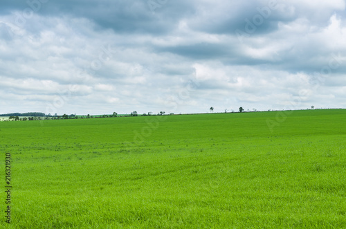 Beautiful landscape of green field and cloudy sky