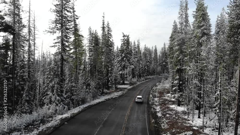 Aerial of a Road in the Forest During Winter Aerial of a Road in the Forest During Winter