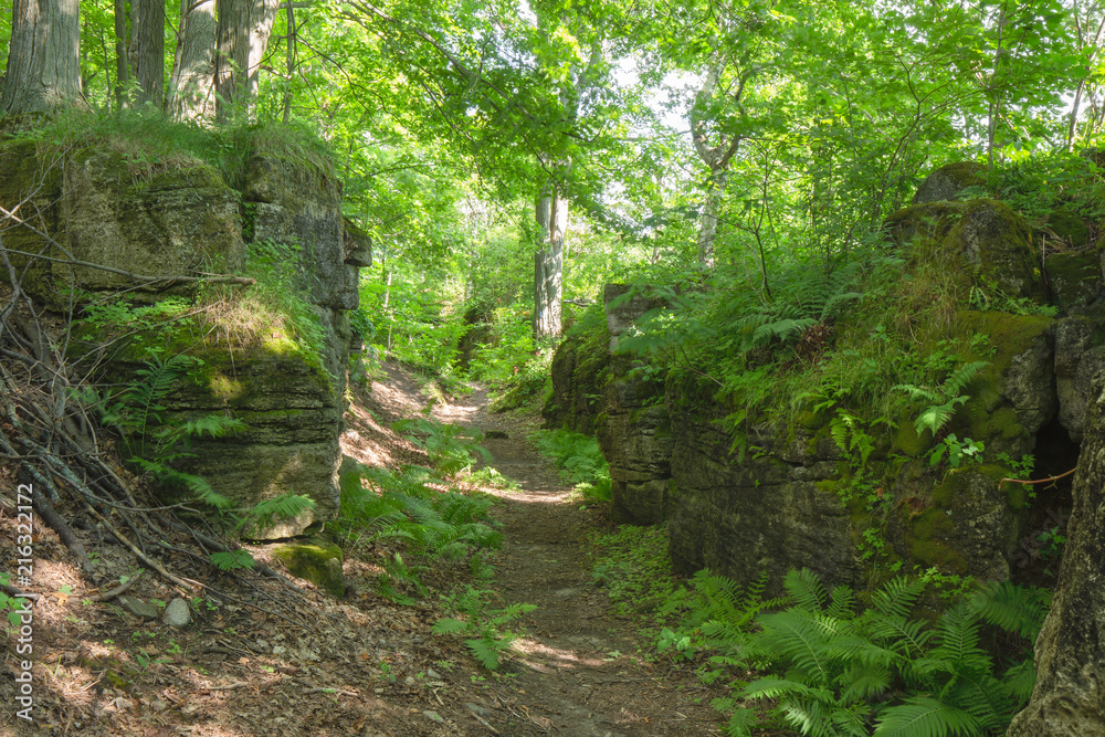 Obraz premium Crevice within the Bruce Trails Splitrock Narrows