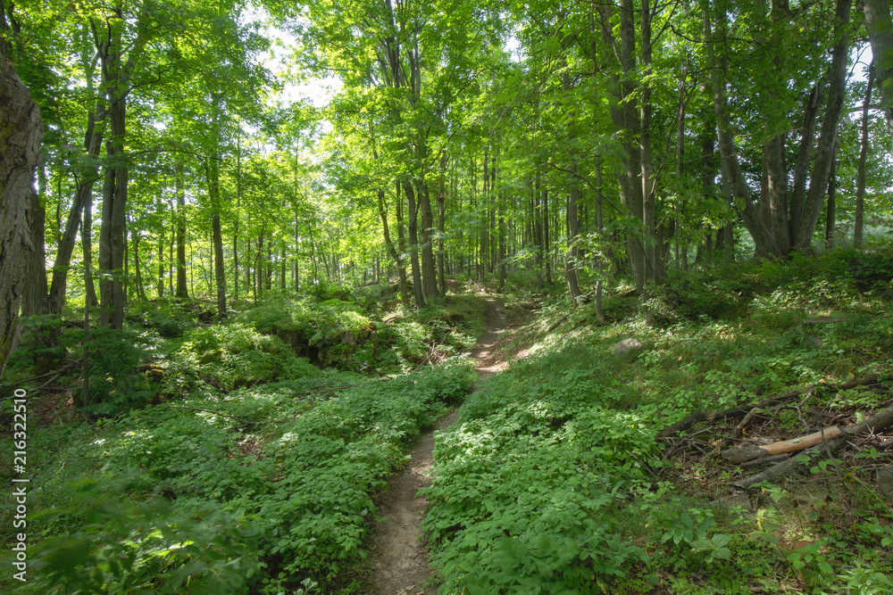 Trail within the Bruce Trails Splitrock Narrows Trail within the Bruce Trails Splitrock Narrows