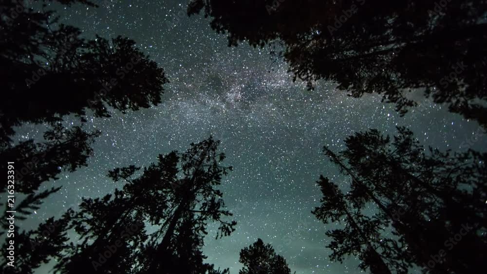 Time lapse of galaxy turning looking straight up through trees with panning motion in forest as the sky lights up at dawn.