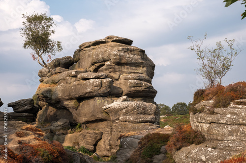 Scenic view of Brimham Rocks in Yorkshire Dales National Park