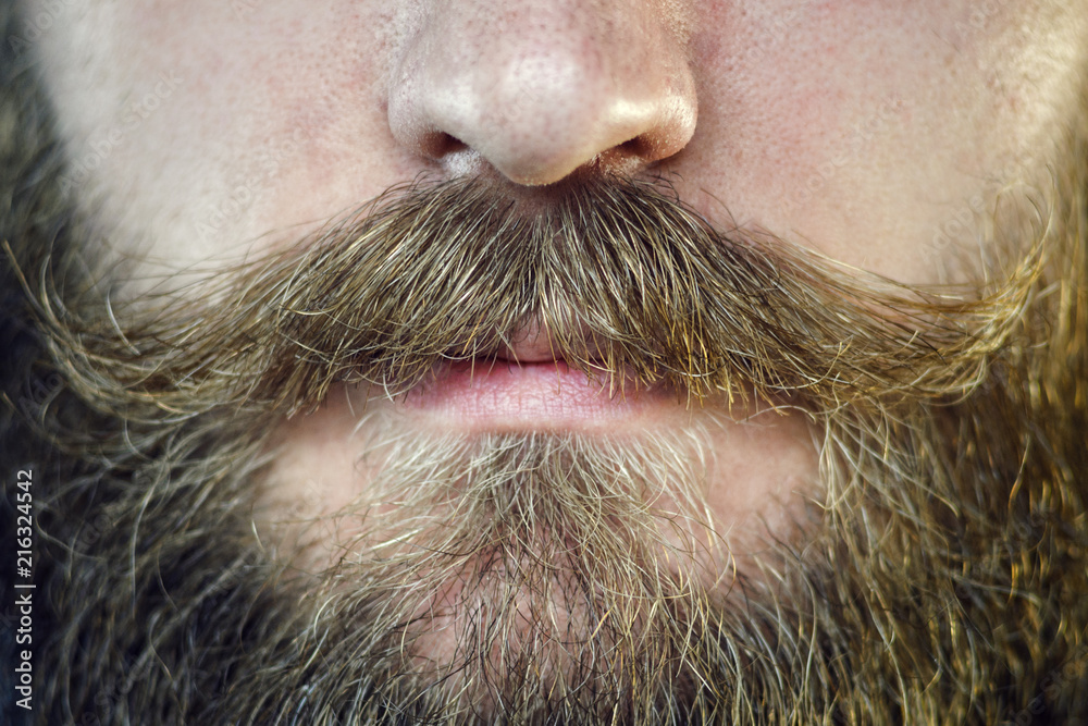 Mustache Close Up. Part of the Face of a Bearded Man Mustache Close Up. Part of the Face of a Bearded Man