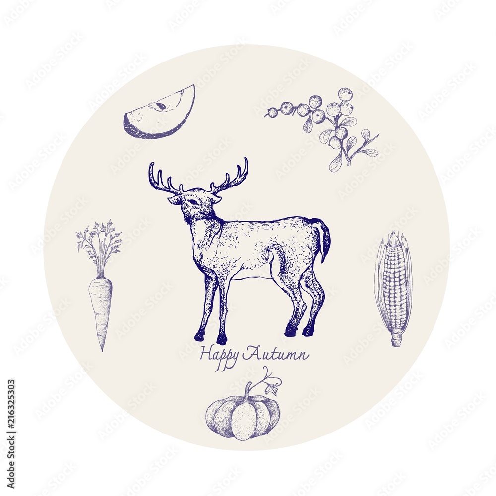 Fototapeta premium Autumn Animal, Illustration Hand Drawn of Whitetail or Virginia Deer with Berries, Apple, Corn, Pumpkin and Carrot. Symbolic Animal to Show The Signs of Autumn Season.