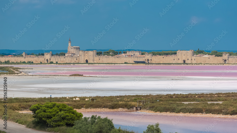 Aigues-Mortes, Salins du Midi, panorama with pink lake and Aigues-Mortes in background 
