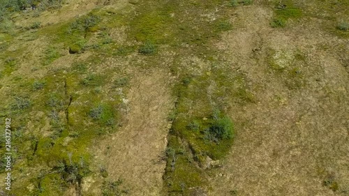 Flying over green mountaingrass photo