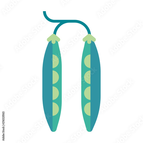 Green Pea vector illustration