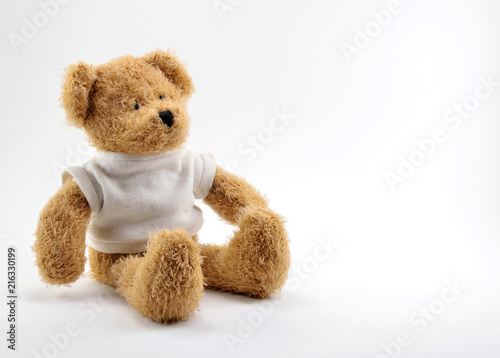 Brown Teddy bear toy in a white knitted sweatshirt.
