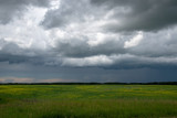 Approaching storm clouds above a canola field, Saskatchewan, Canada.