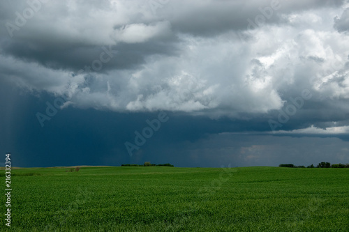 Farm land and canola crops, Saskatchewan, Canada. © royalkangas