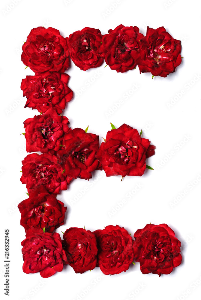 Letter E from flowers of red rose Letter E from flowers of red rose