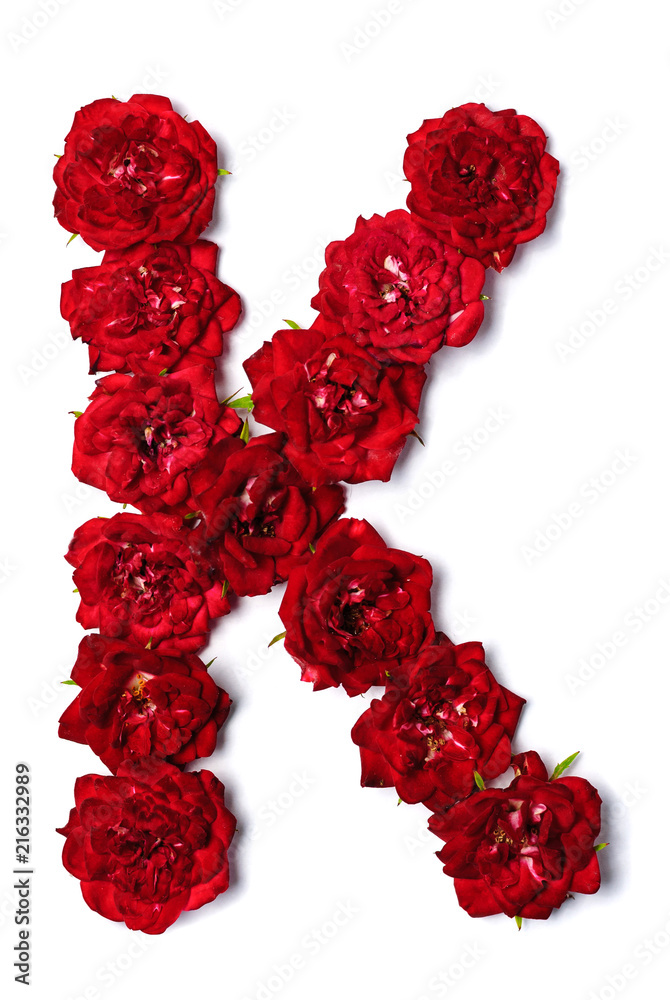 Letter K from flowers of red rose