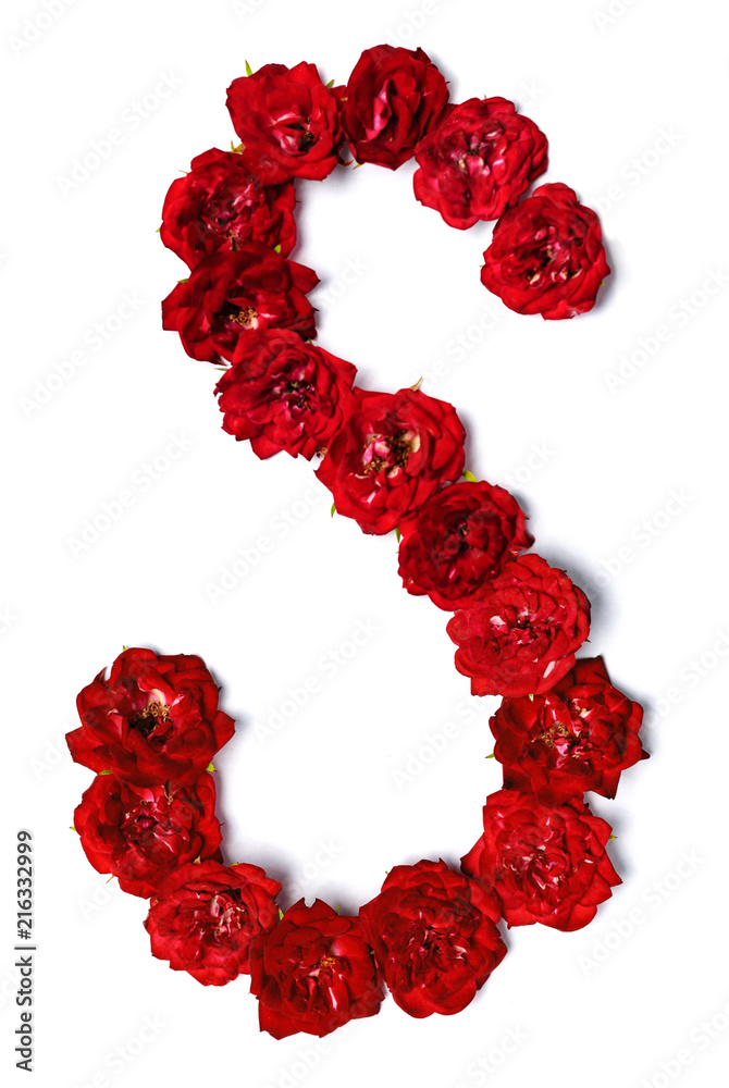 Letter Edge Roses S Letter In Rose