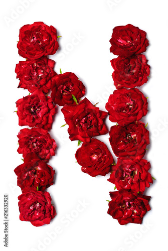 Letter N from flowers of red rose