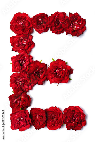 Letter E from flowers of red rose