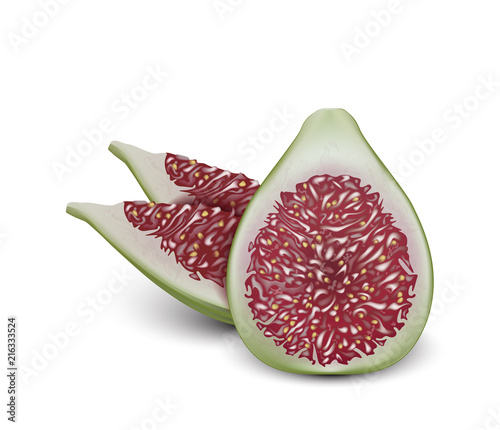 Common fig fruit realistic vector design. 3d fig cut. Sliced piece. Good for packaging