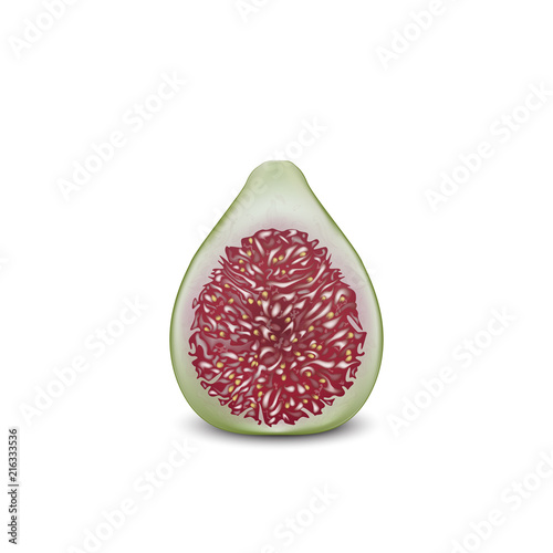 Common fig fruit realistic vector design. 3d fig cut. Sliced piece. Good for packaging