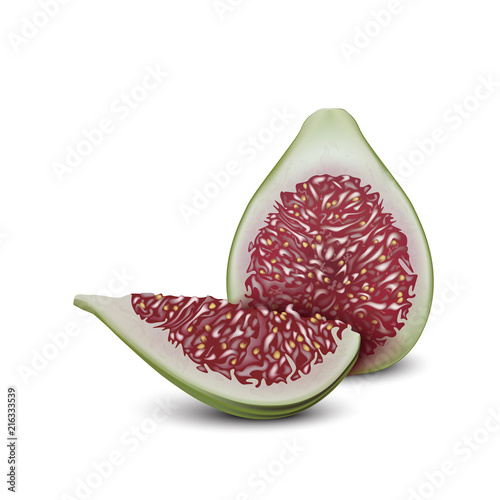 Common fig fruit realistic vector design. 3d fig cut. Sliced piece. Good for packaging