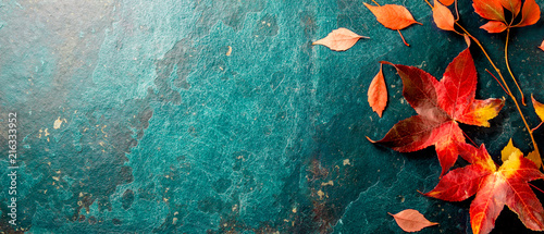 Autumn background with colored red leaves on blue slate background. Top view, copy space photo