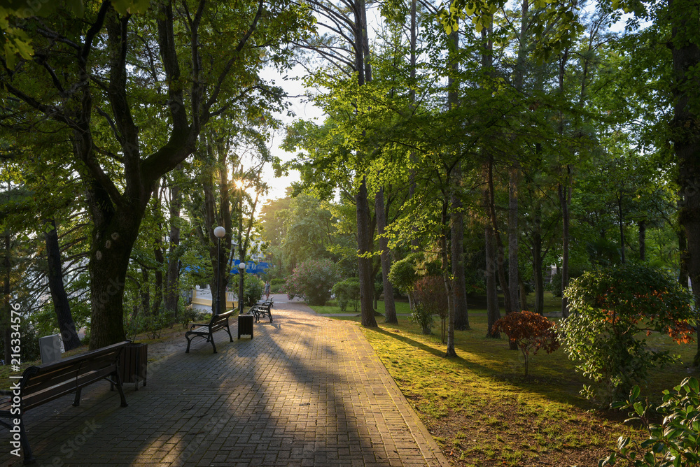 Path in a Park in Sochi, Russia Path in a Park in Sochi, Russia