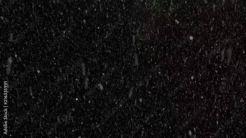 Heavy snow falls in winter on a black background Heavy snow falls in winter on a black background