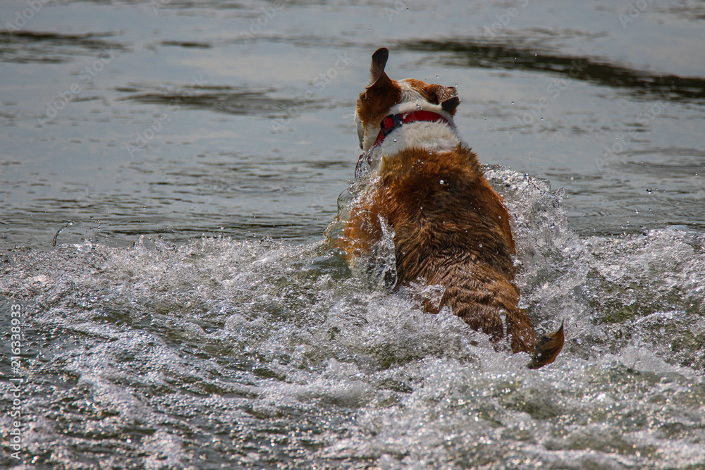 Fetch 1 Fetch 1