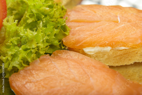 Dish of sandwiches with red fish tomato and greens.