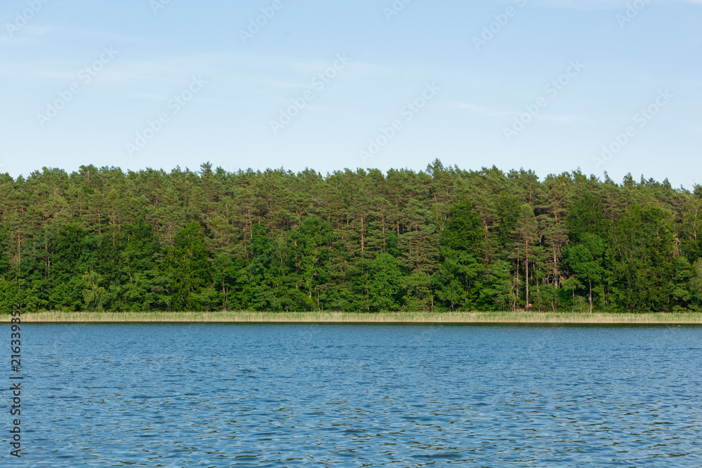 Beautiful View of a Lake in the Federal State of Brandenburg in Germany on a sunny Summer Day