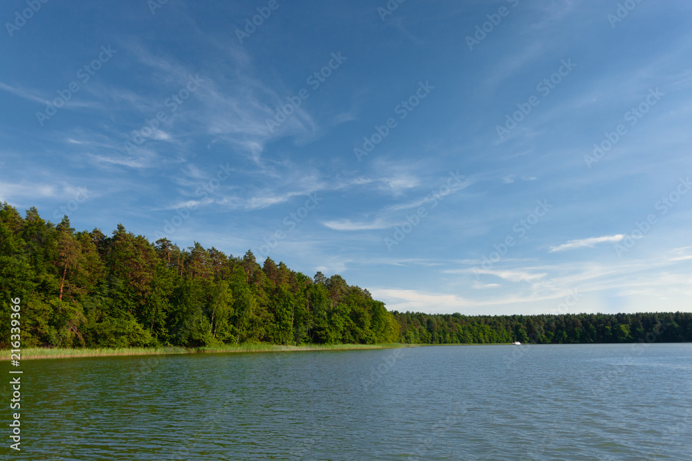 Naklejka premium Beautiful View of a Lake in the Federal State of Brandenburg in Germany on a sunny Summer Day