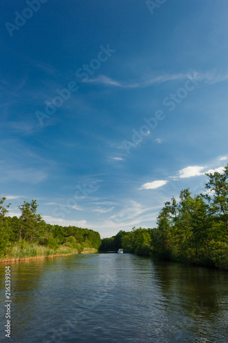Calm River surrounded by Trees and a Forest on a sunny Summer day in the Federal State of Brandenburg  Germany