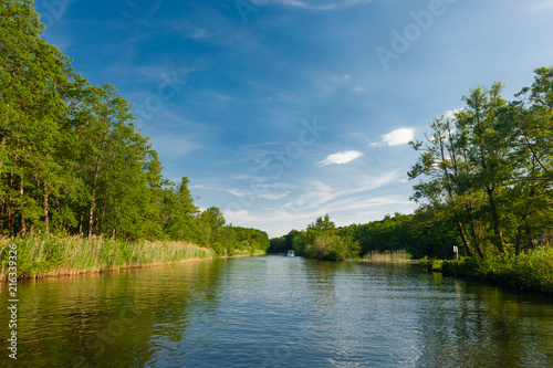 Calm River surrounded by Trees and a Forest on a sunny Summer day in the Federal State of Brandenburg, Germany