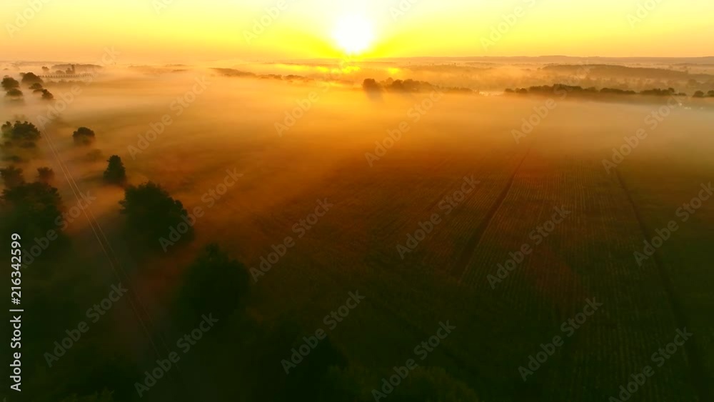 Ethereal fog shrouded rural landscape at sunrise with surreal beauty, aerial view.
Ethereal fog shrouded rural landscape at sunrise with surreal beauty, aerial view.