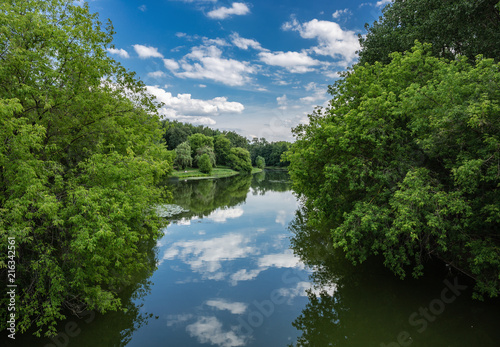 Scenic summer landscape with a lake in the park