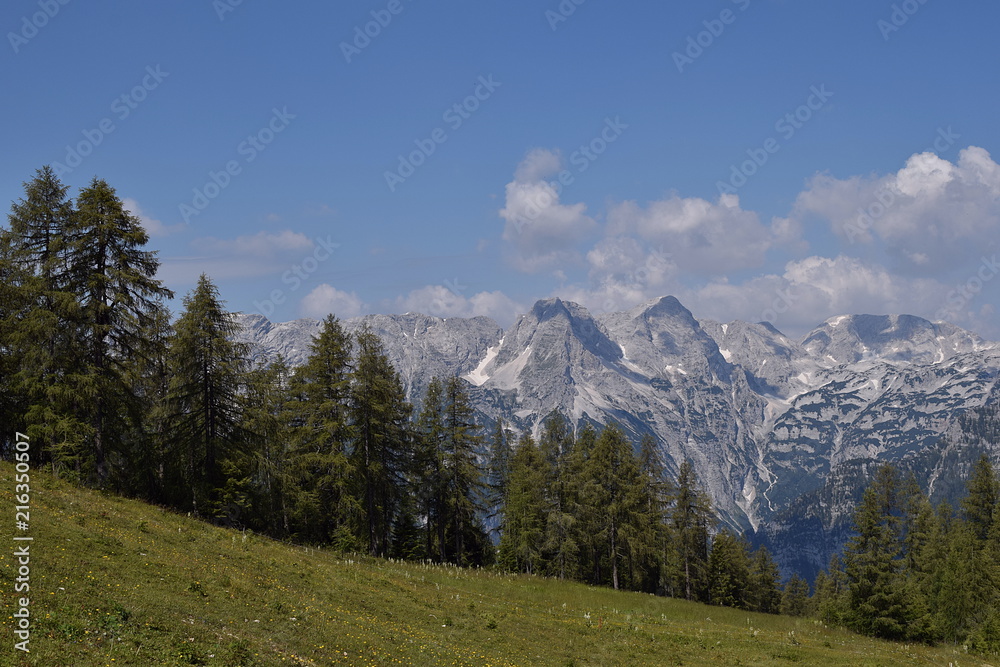 Blick von der Höss in Hinterstoder in das Gebirge