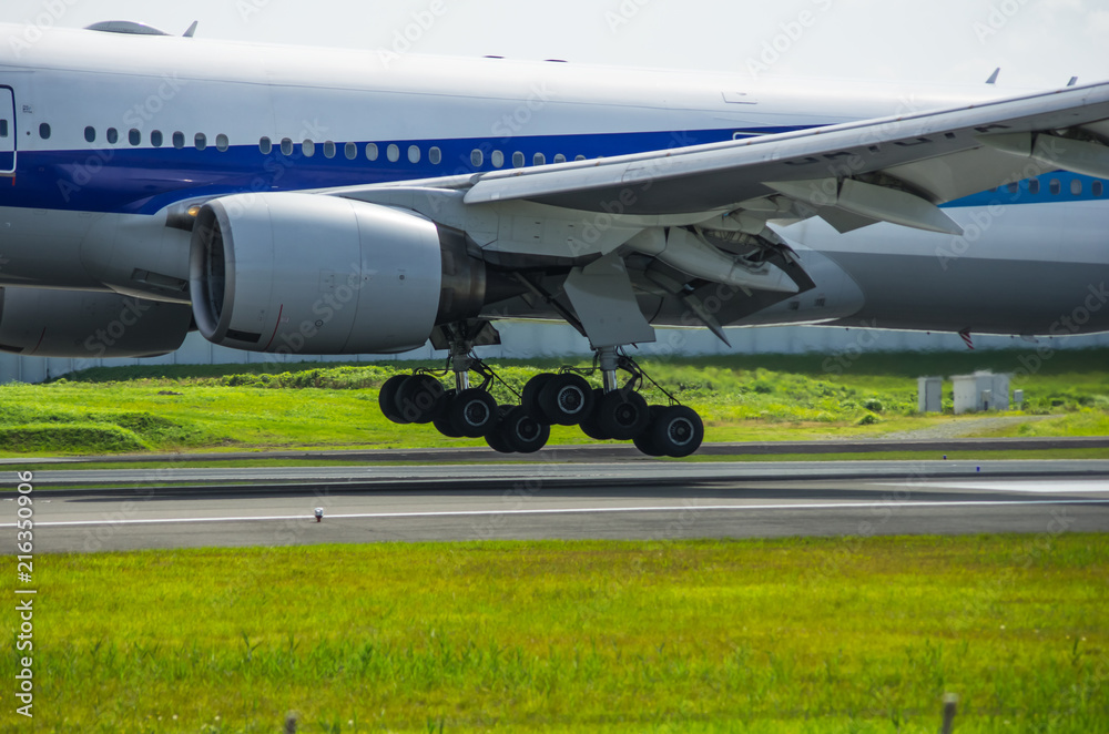 着陸間際の飛行機の降着装置 着陸間際の飛行機の降着装置