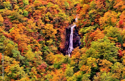 紅葉の三階の滝
